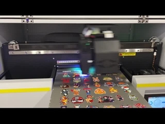 Высокоскоростной 3м2 УФ-гибридный принтер для максимального разрешения 297*420 мм с PP/PF Rip Software